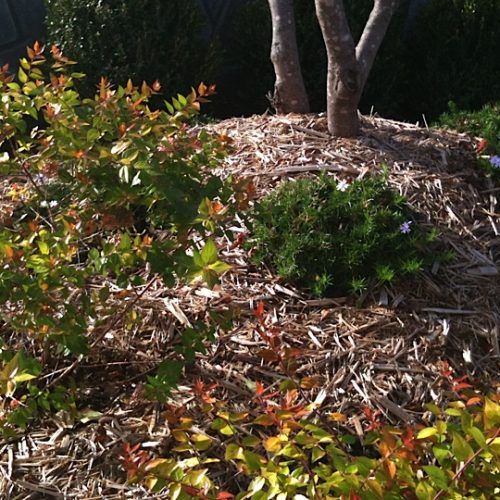 Owasso Sod & Landscape Best Grass & Sod Provider in Owasso