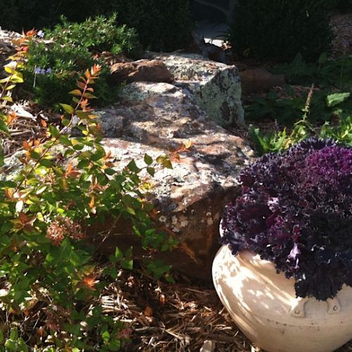 Owasso Sod & Landscape Best Grass & Sod Provider in Owasso