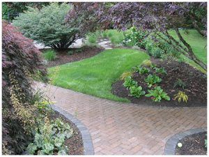 path of pavers in garden